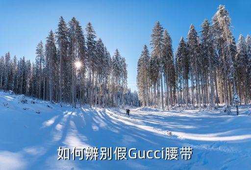 gucci皮带扣小点,GUCCI皮带扣怎样打开