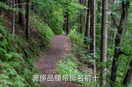 奢侈品腰带排名前十