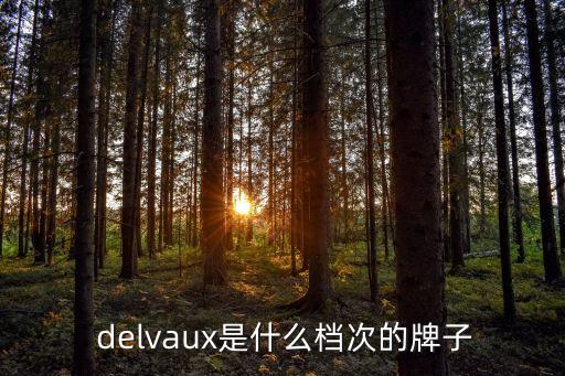  delvaux是什么档次的牌子