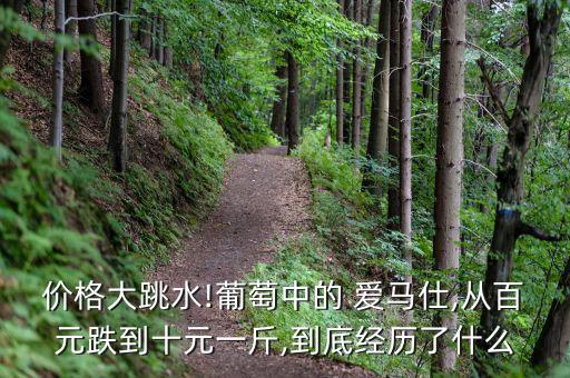 价格大跳水!葡萄中的 爱马仕,从百元跌到十元一斤,到底经历了什么