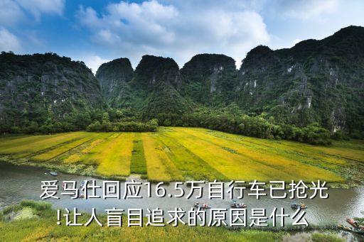 爱马仕回应16.5万自行车已抢光!让人盲目追求的原因是什么