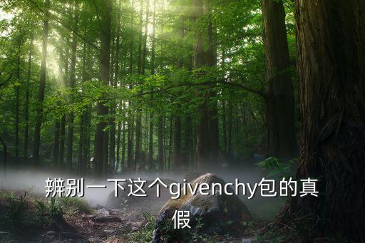 辨别一下这个givenchy包的真假