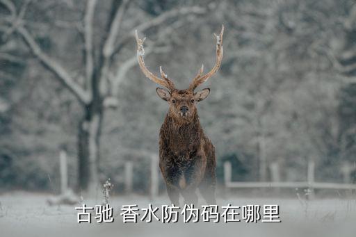 古驰 香水防伪码在哪里