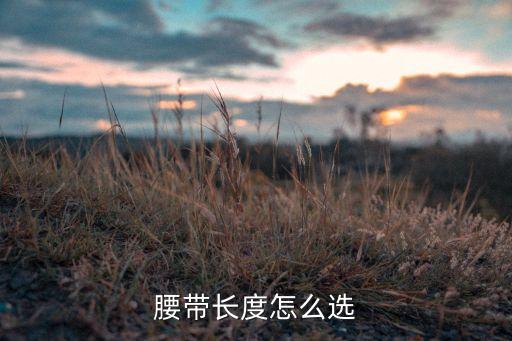 腰带长度怎么选