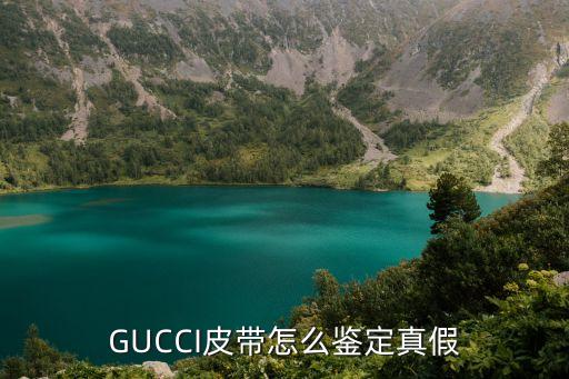 gucci 毛拖真假,Gucci防尘袋真假