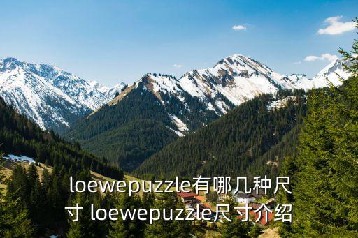  loewepuzzle有哪几种尺寸 loewepuzzle尺寸介绍