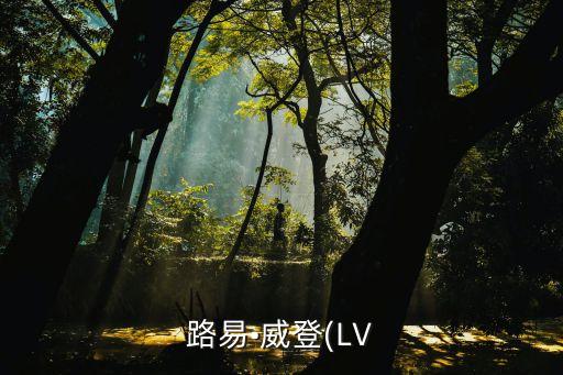 路易•威登(LV