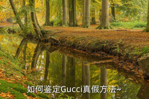 如何鉴定Gucci真假方法~