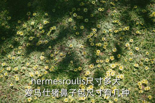 hermesroulis尺寸多大 爱马仕猪鼻子包尺寸有几种