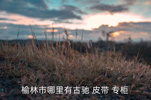 榆林市哪里有古驰 皮带 专柜