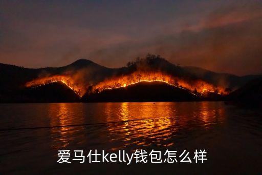  爱马仕kelly钱包怎么样