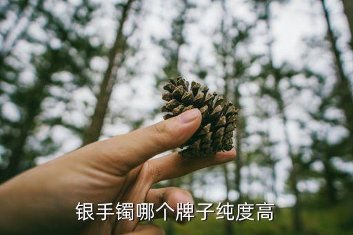 银手镯哪个牌子纯度高
