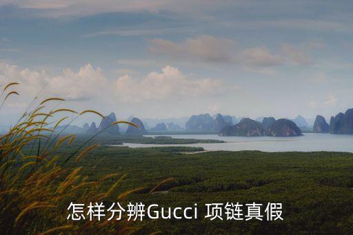 gucci经典项链,Gucci 手镯 经典款