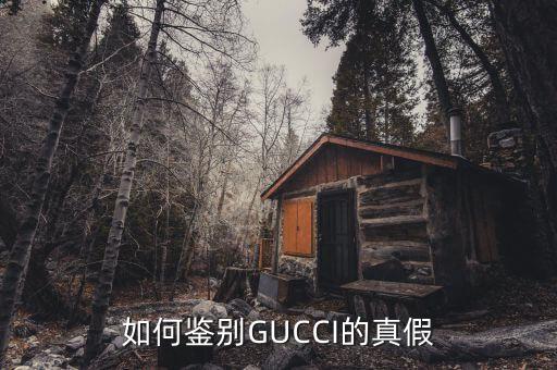 如何鉴别GUCCI的真假