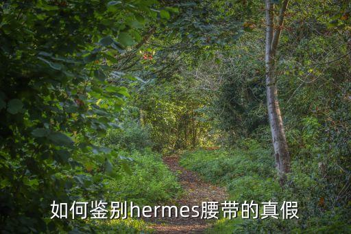 如何鉴别hermes腰带的真假