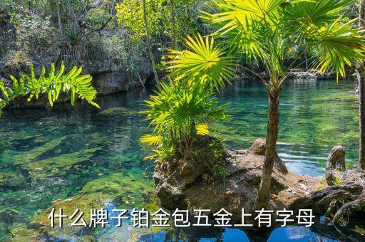 什么牌子铂金包五金上有字母
