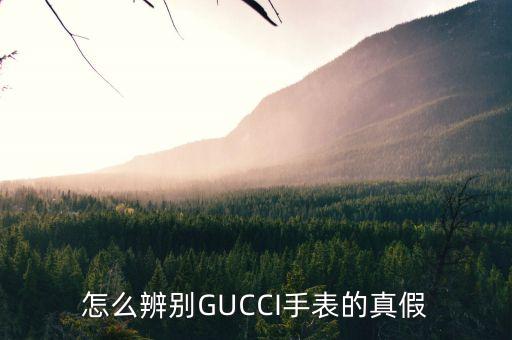 怎么辨别GUCCI手表的真假