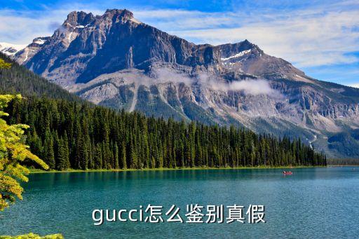 gucci怎么鉴别真假