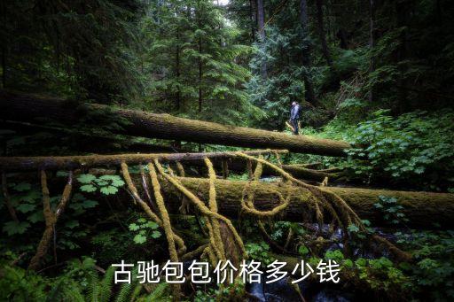 古驰包包价格多少钱