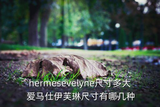 hermesevelyne尺寸多大 爱马仕伊芙琳尺寸有哪几种