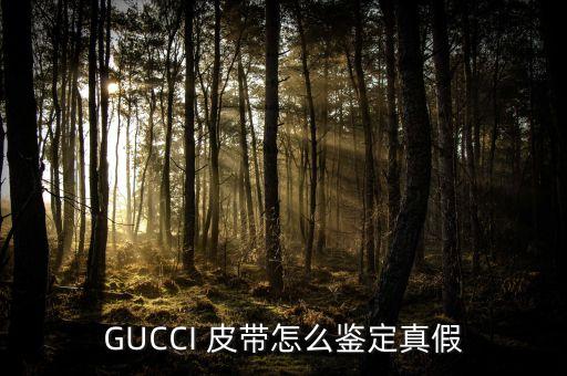 GUCCI 皮带怎么鉴定真假