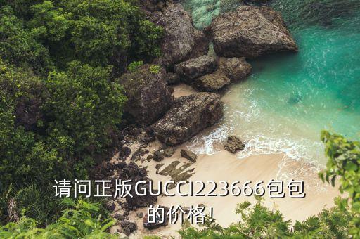 请问正版GUCCI223666包包的价格!