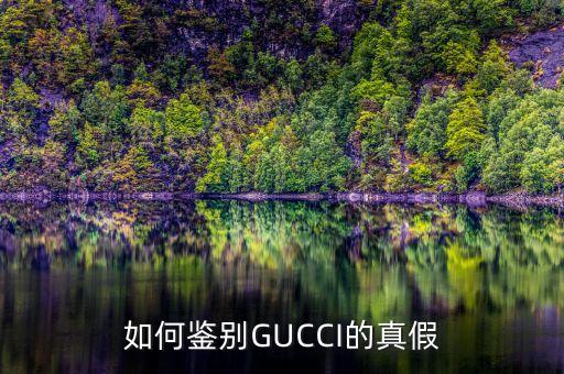 gucci衣服真假辨别,GUCCI丝巾真假辨别