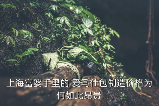 爱马仕限量版包包图片