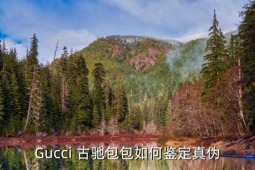 Gucci 古驰包包如何鉴定真伪