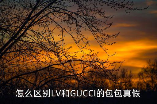 怎么区别LV和GUCCI的包包真假