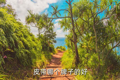  皮带哪个牌子的好