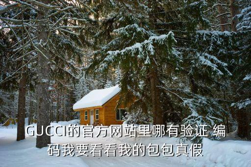 GUCCI的官方网站里哪有验证 编码我要看看我的包包真假