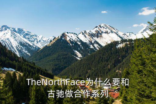 TheNorthFace为什么要和古驰做合作系列