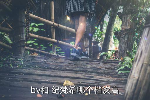 bv和 纪梵希哪个档次高