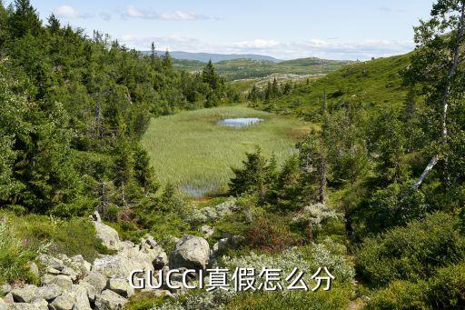 GUCCI真假怎么分